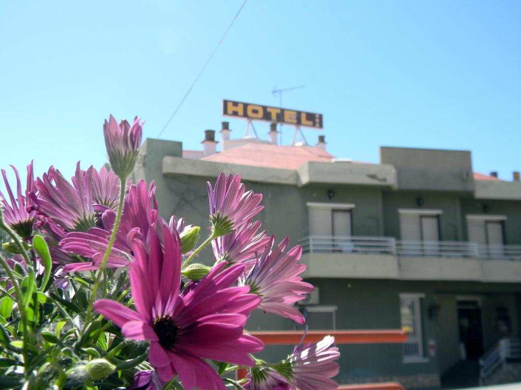 Hotel Restaurante Las Galias Суэра Экстерьер фото